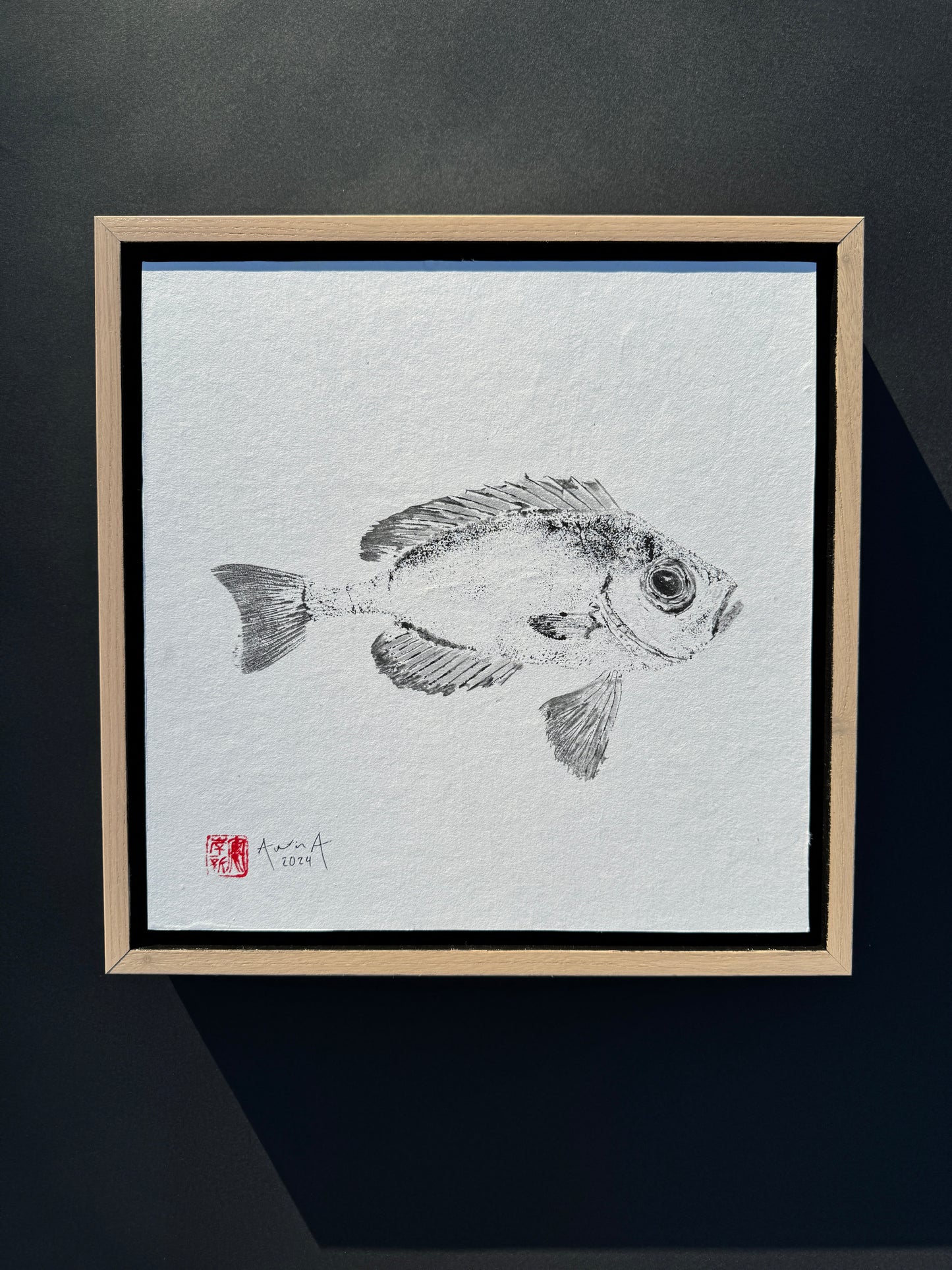 Toro Snapper
