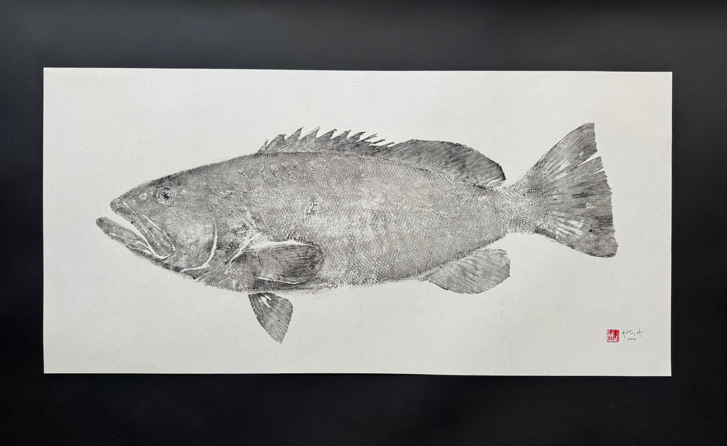 Black Grouper