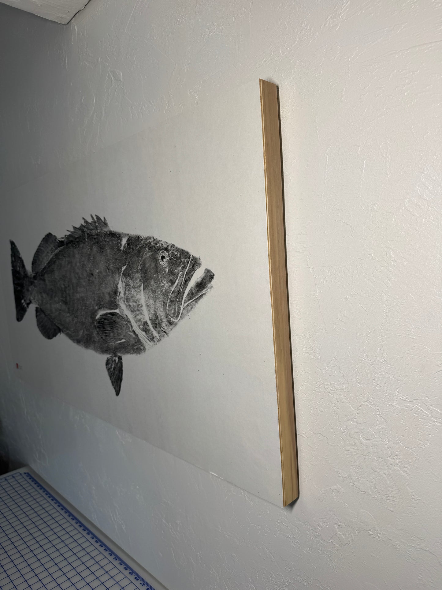 Carson Black Grouper