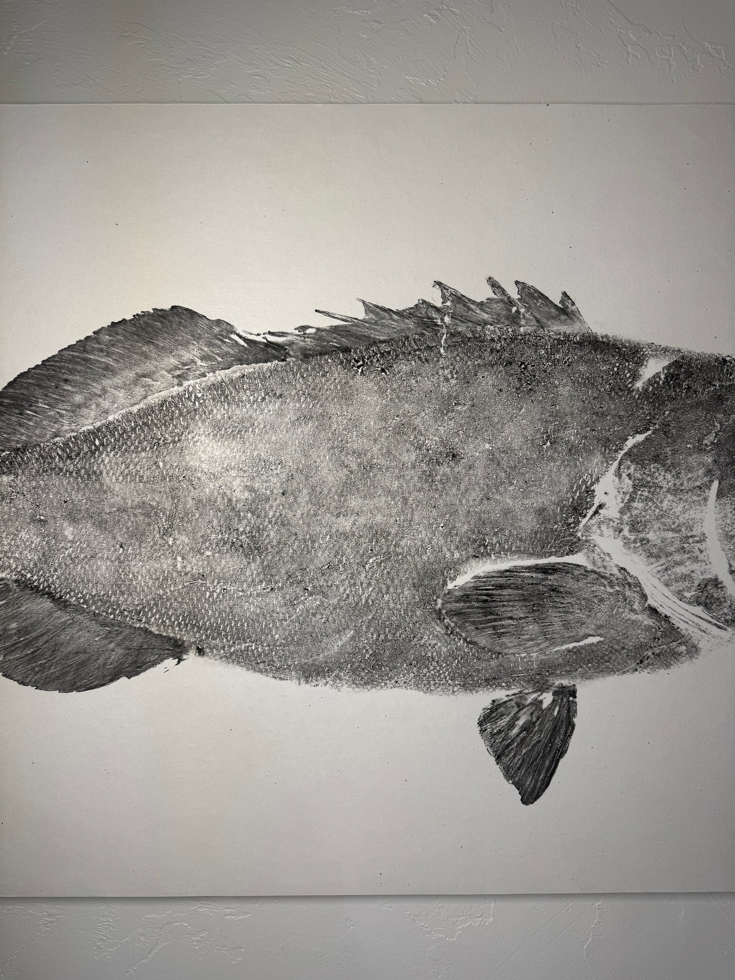Carson Black Grouper