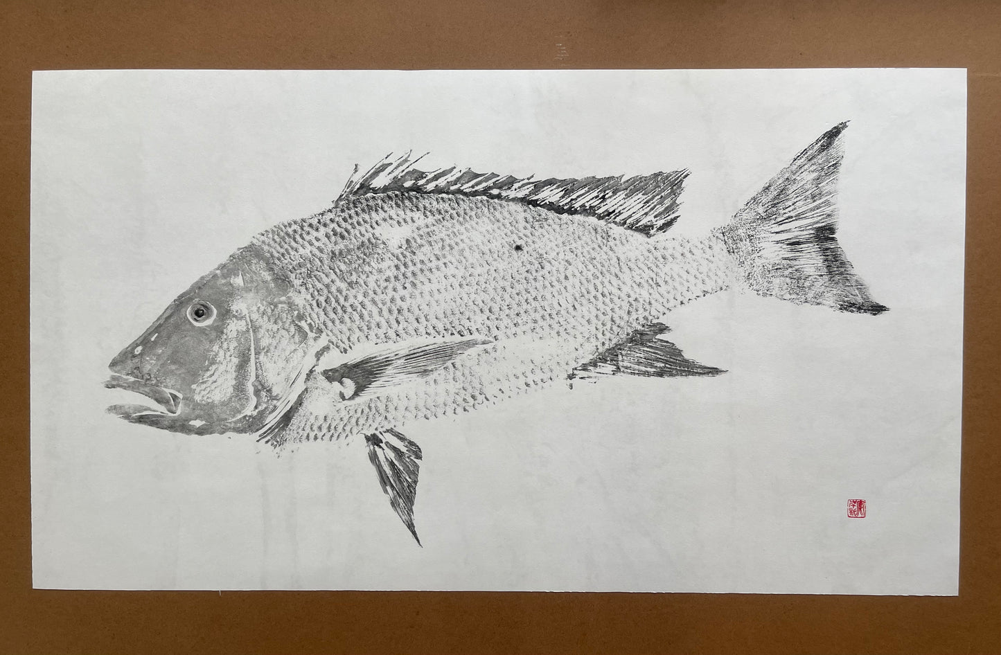 Mutton Snapper