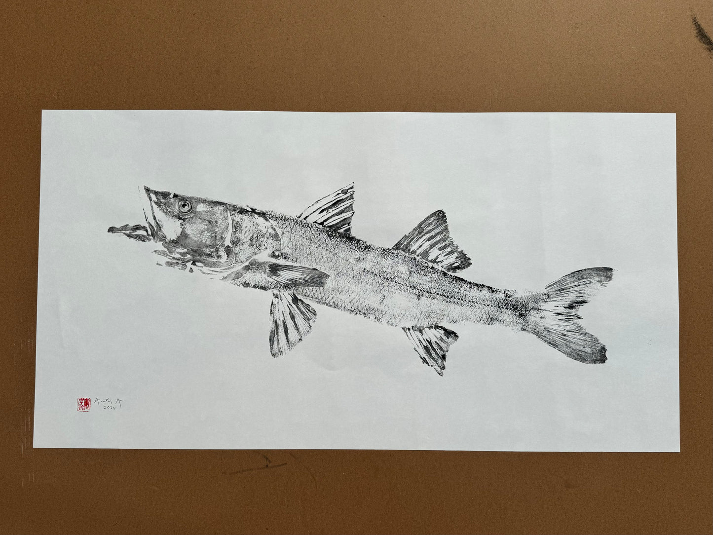 Snook 1